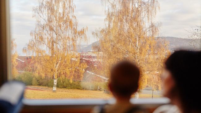 Två personer tittar ut genom tågfönstret.